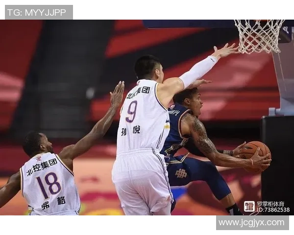 南京羽毛球队的拼搏历程与荣耀之路探索